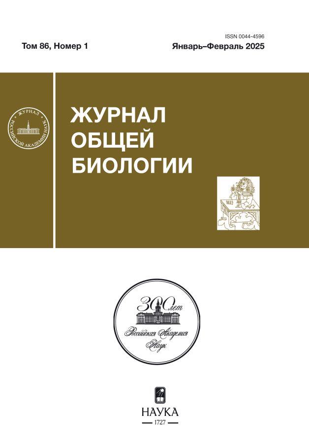 Логотип Заголовка Страницы