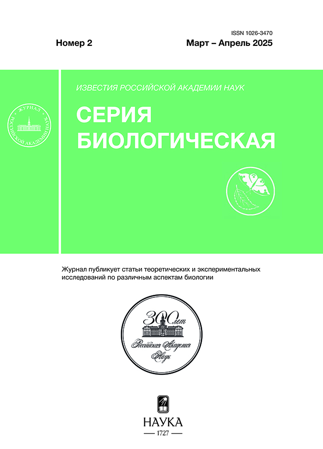 Логотип Заголовка Страницы