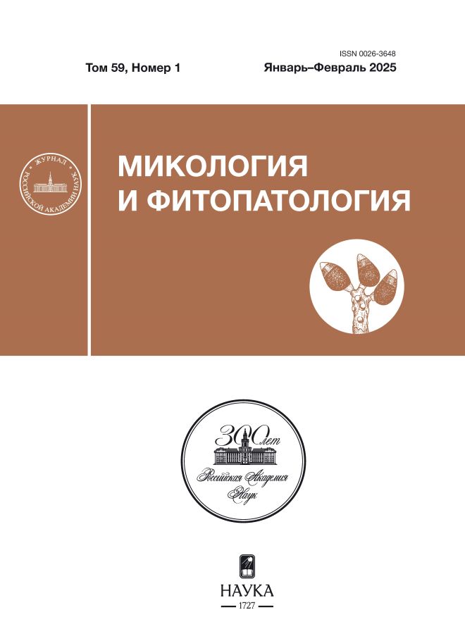 Логотип Заголовка Страницы
