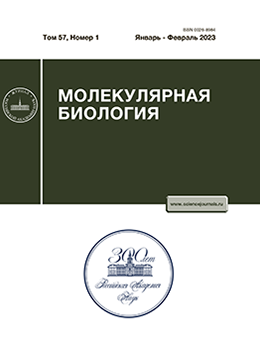 Логотип Заголовка Страницы