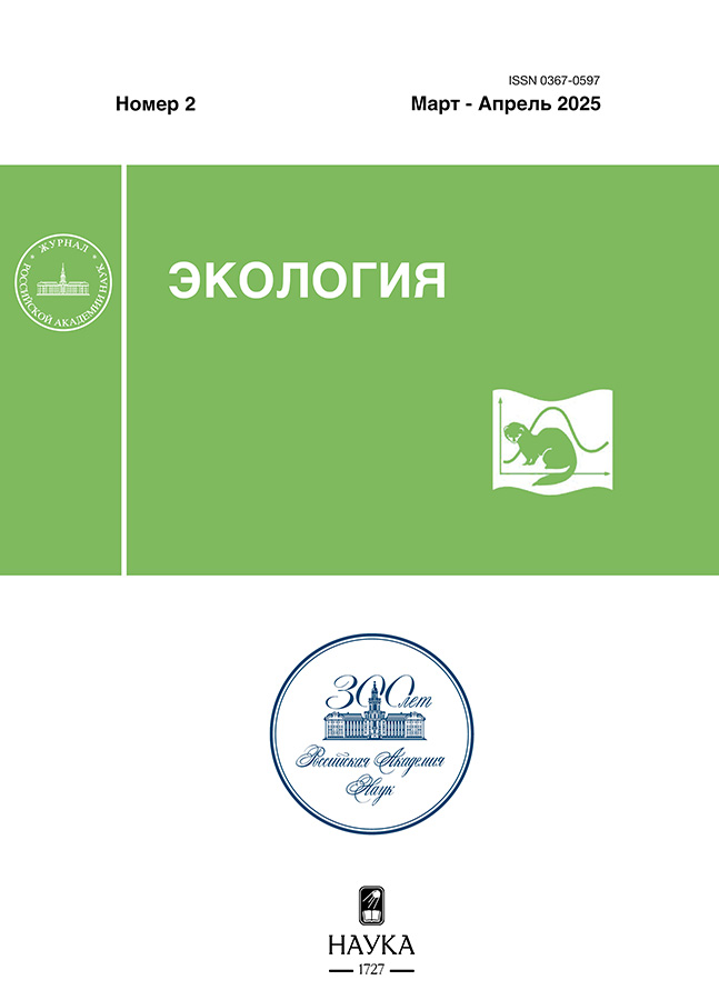 Логотип Заголовка Страницы